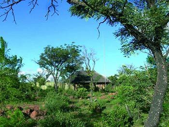 Abloom Bush Lodge & Spa Retreat Cullinan Exterior foto
